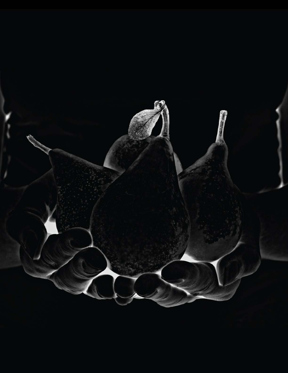 White-on-black picture of two hands holding out four pears.